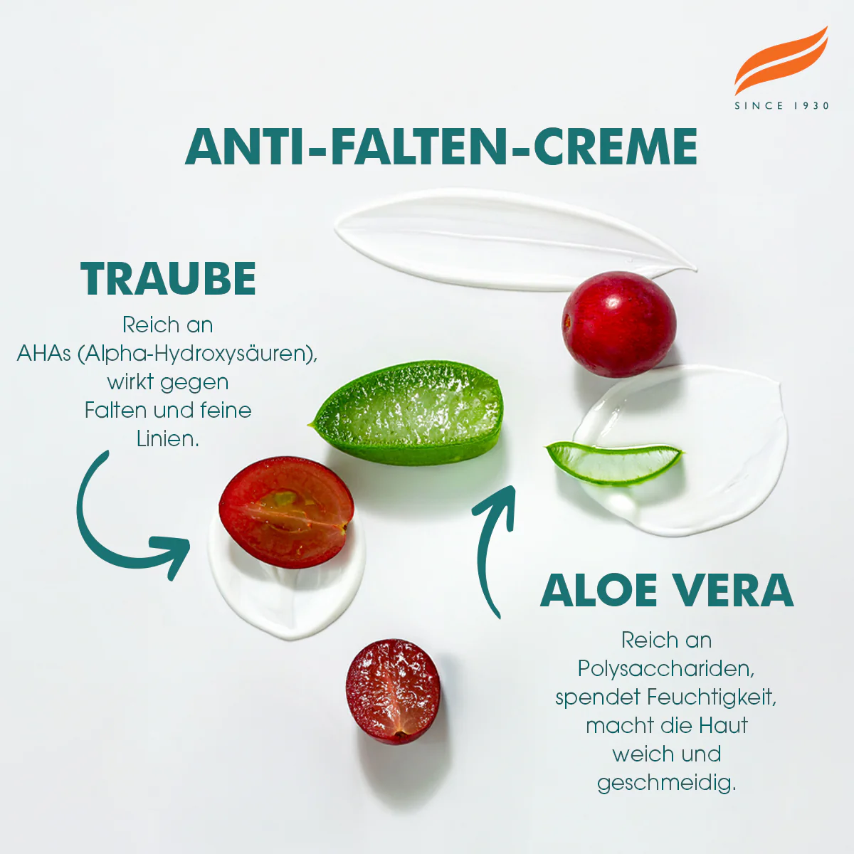 Himalaya Anti-Falten-Creme - 50g - Image 4