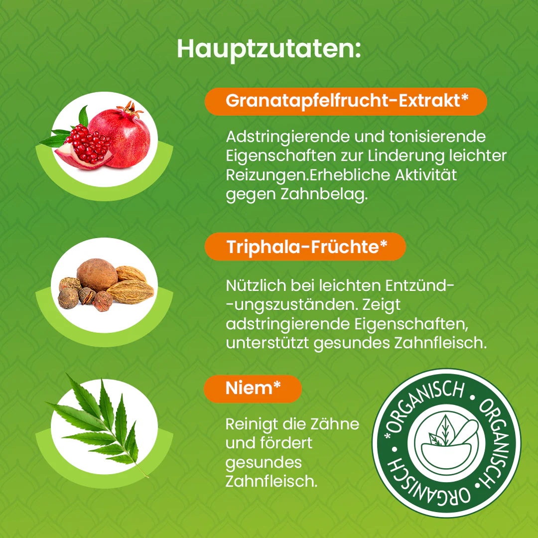 Himalaya Botanique Complete Care Zahnpasta – Minze 75 ml - Image 4