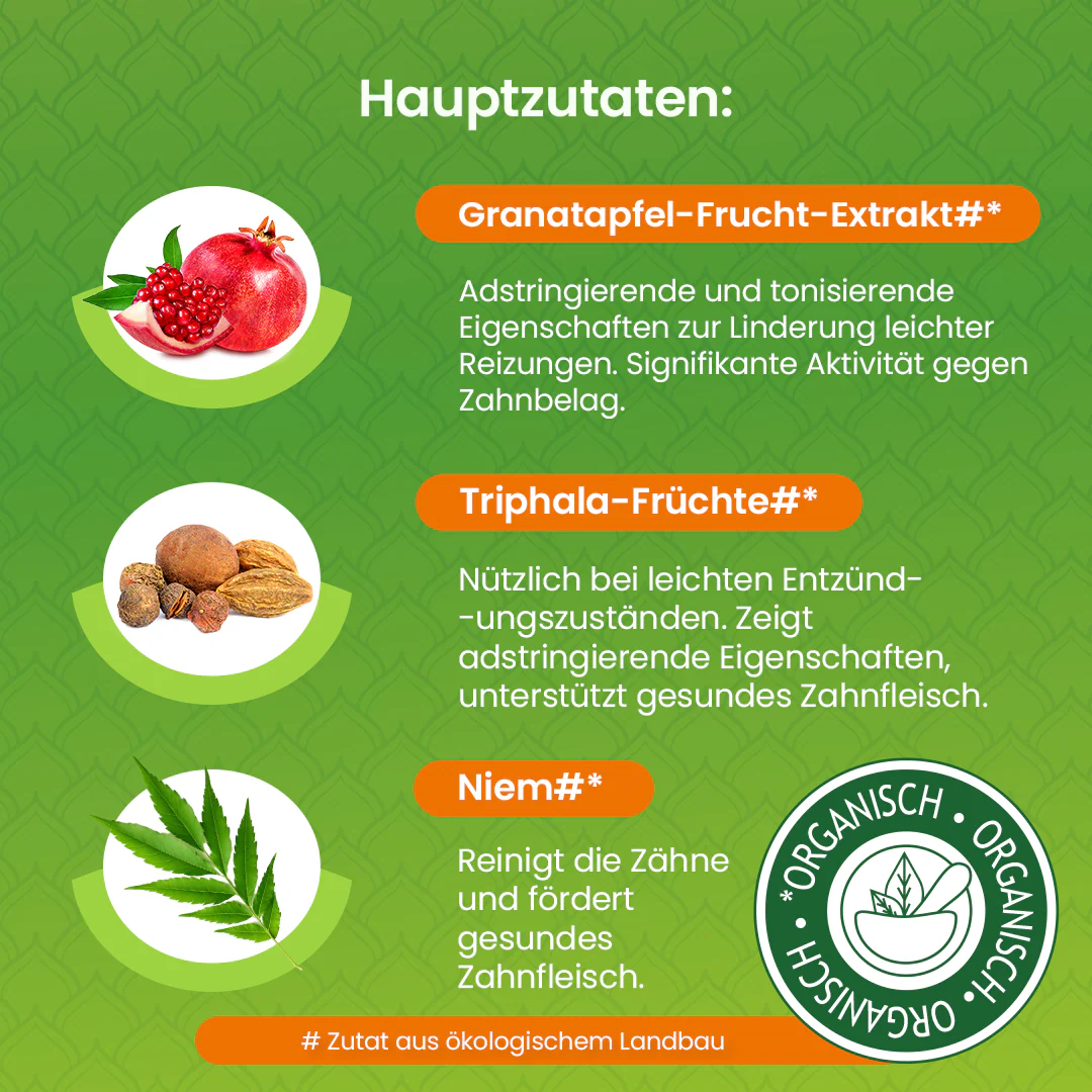 Himalaya Botanique Niem & Granatapfel Zahnpasta 75 ml - Image 4