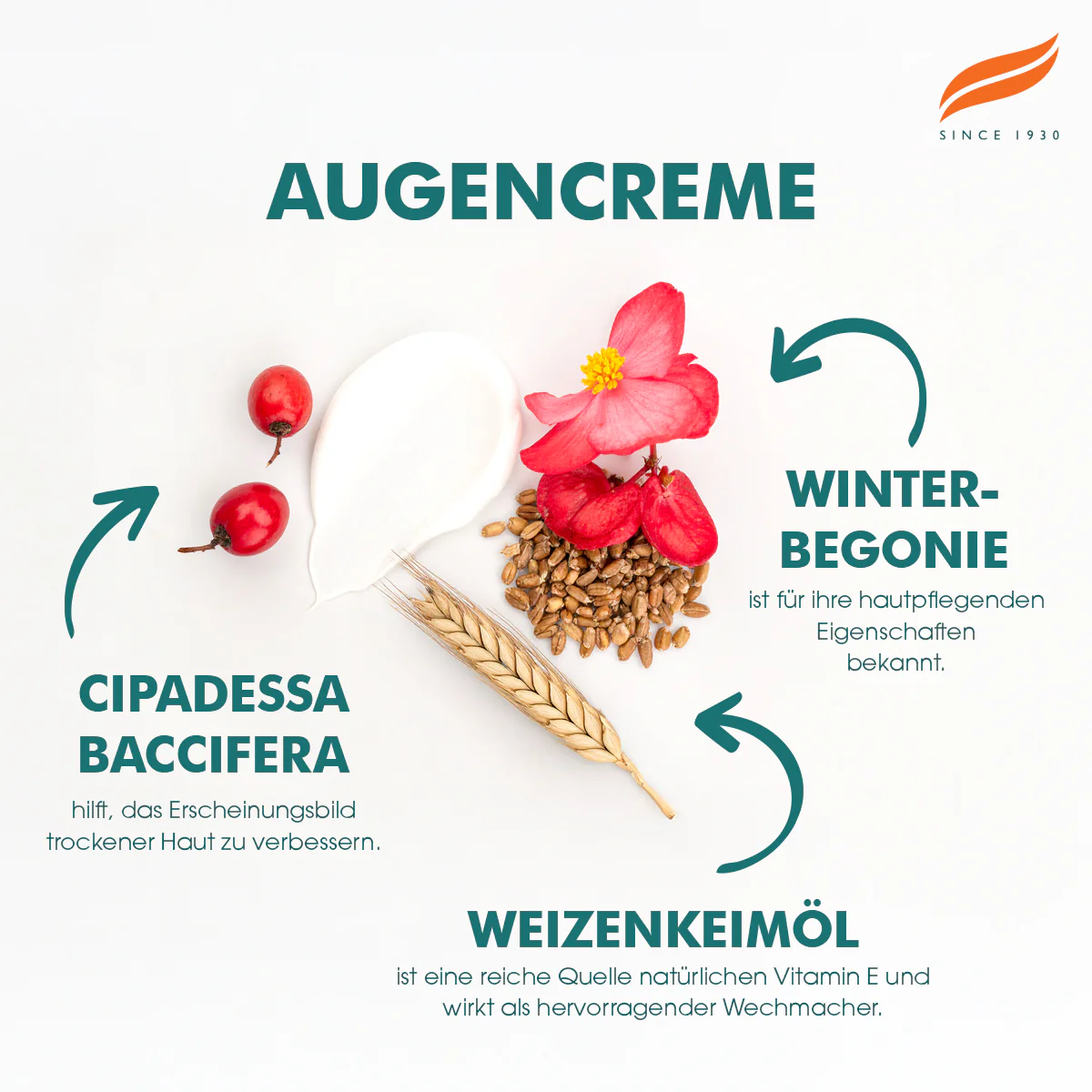 Himalaya Crème voor onder de ogen - 15ml - Image 4