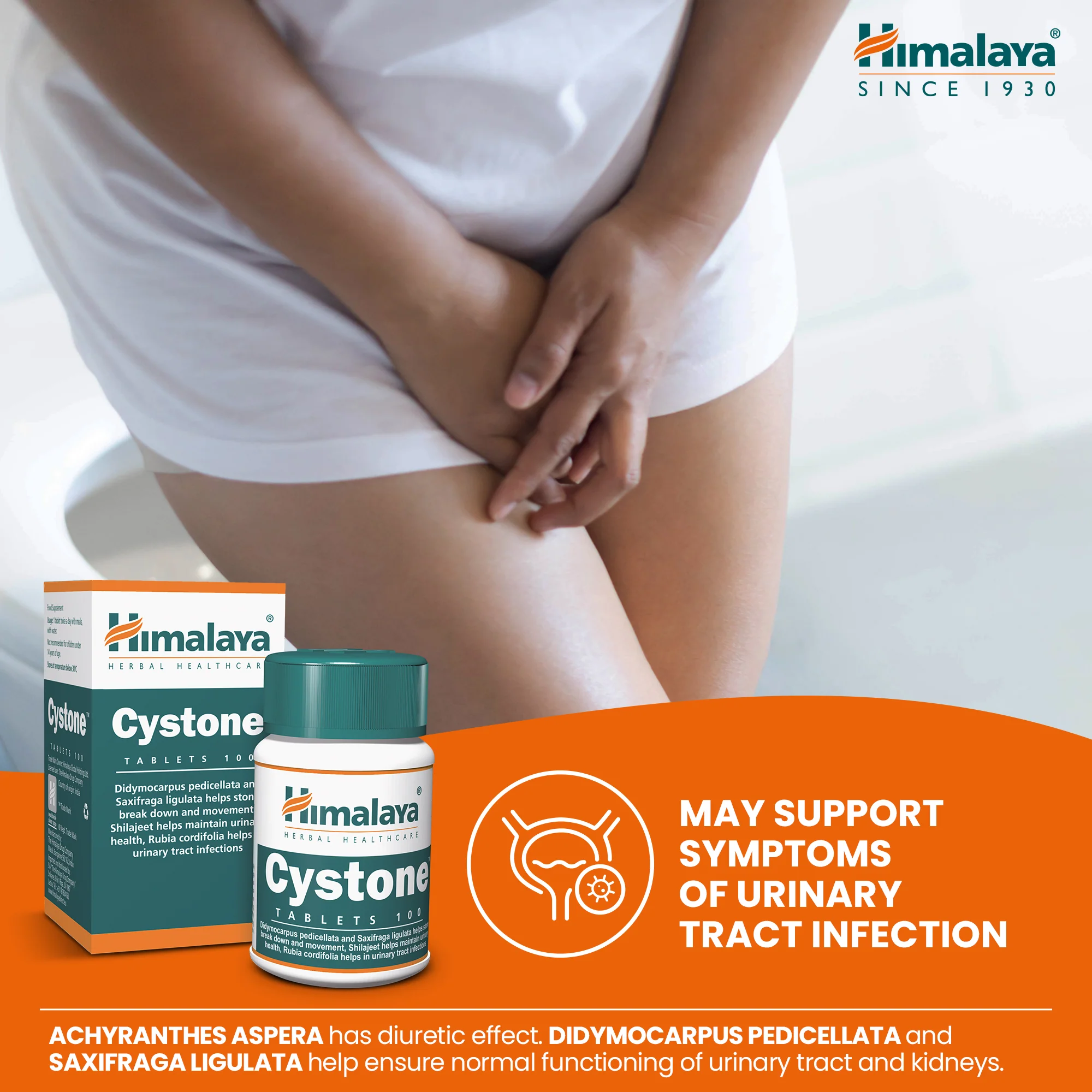 Himalaya Cystone - 100 Tablets - Image 3