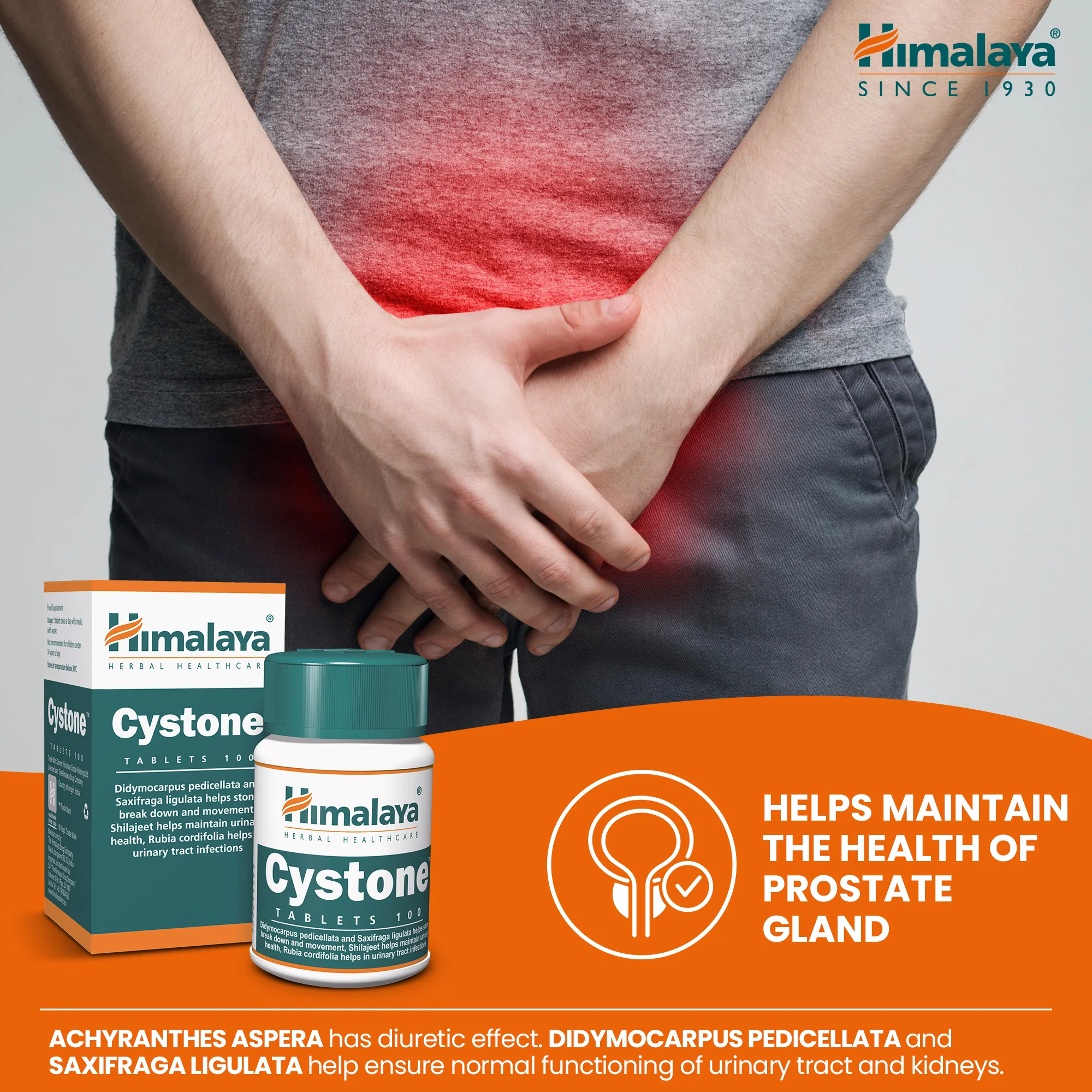 Himalaya Cystone - 100 Tablets - Image 4