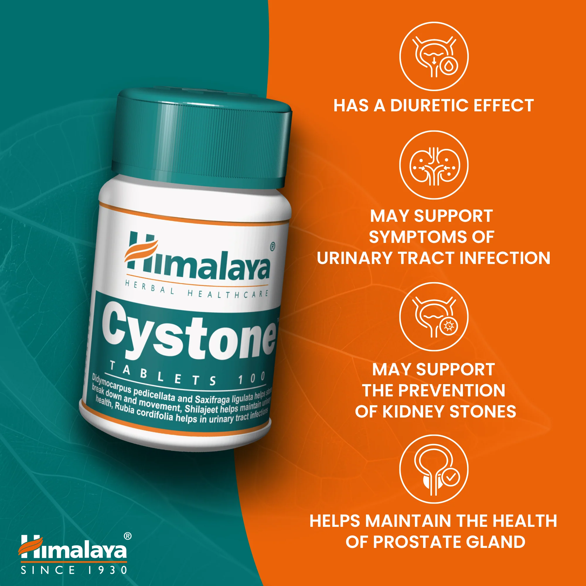 Himalaya Cystone - 100 Tablets - Image 5