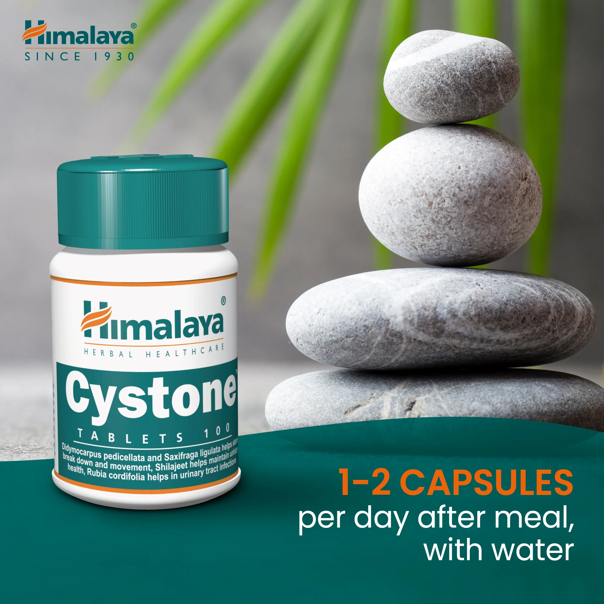 Himalaya Cystone - 100 Tablets - Image 7