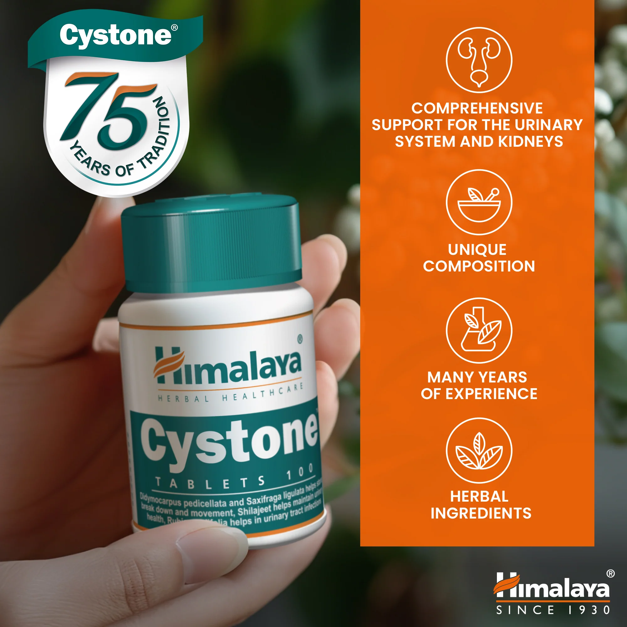 Himalaya Cystone - 100 Tablets - Image 8