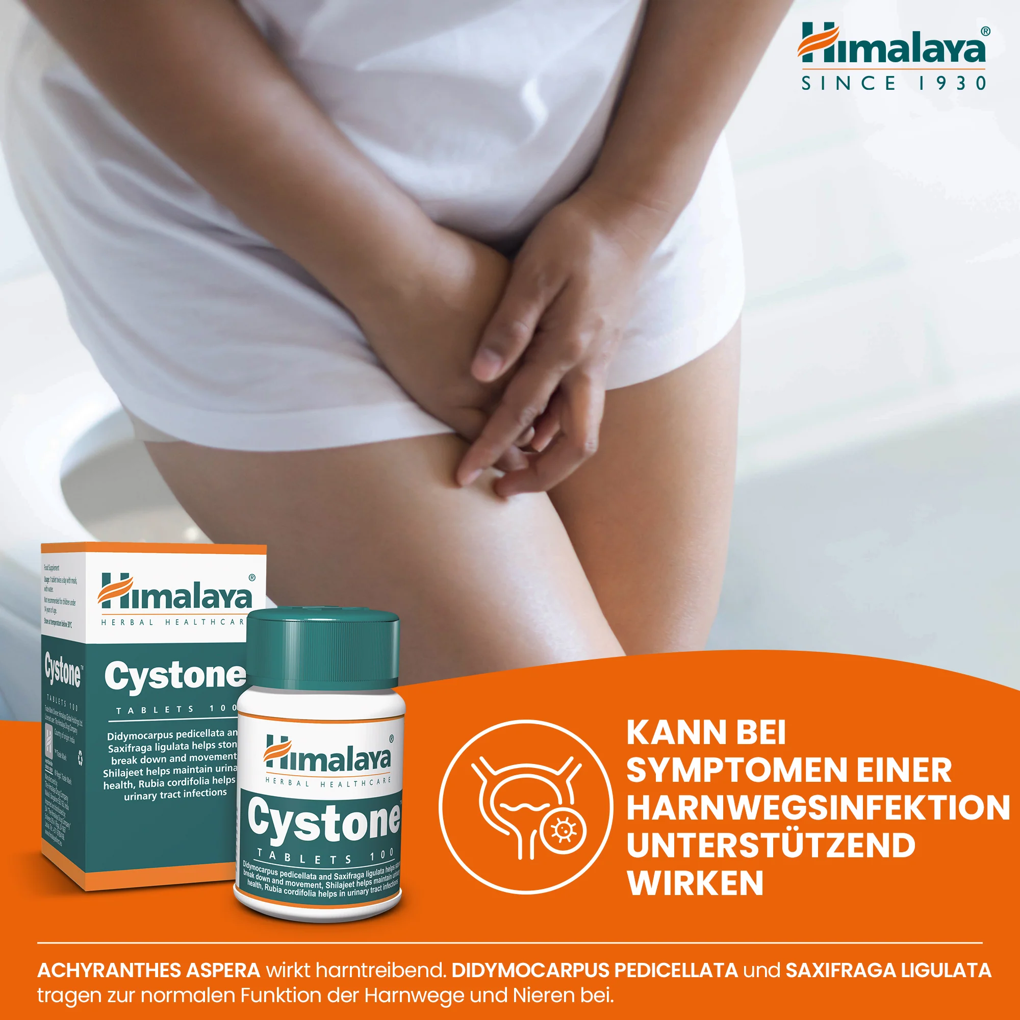 Himalaya Cystone - 100 Tablets (Pack of 3) - Image 3