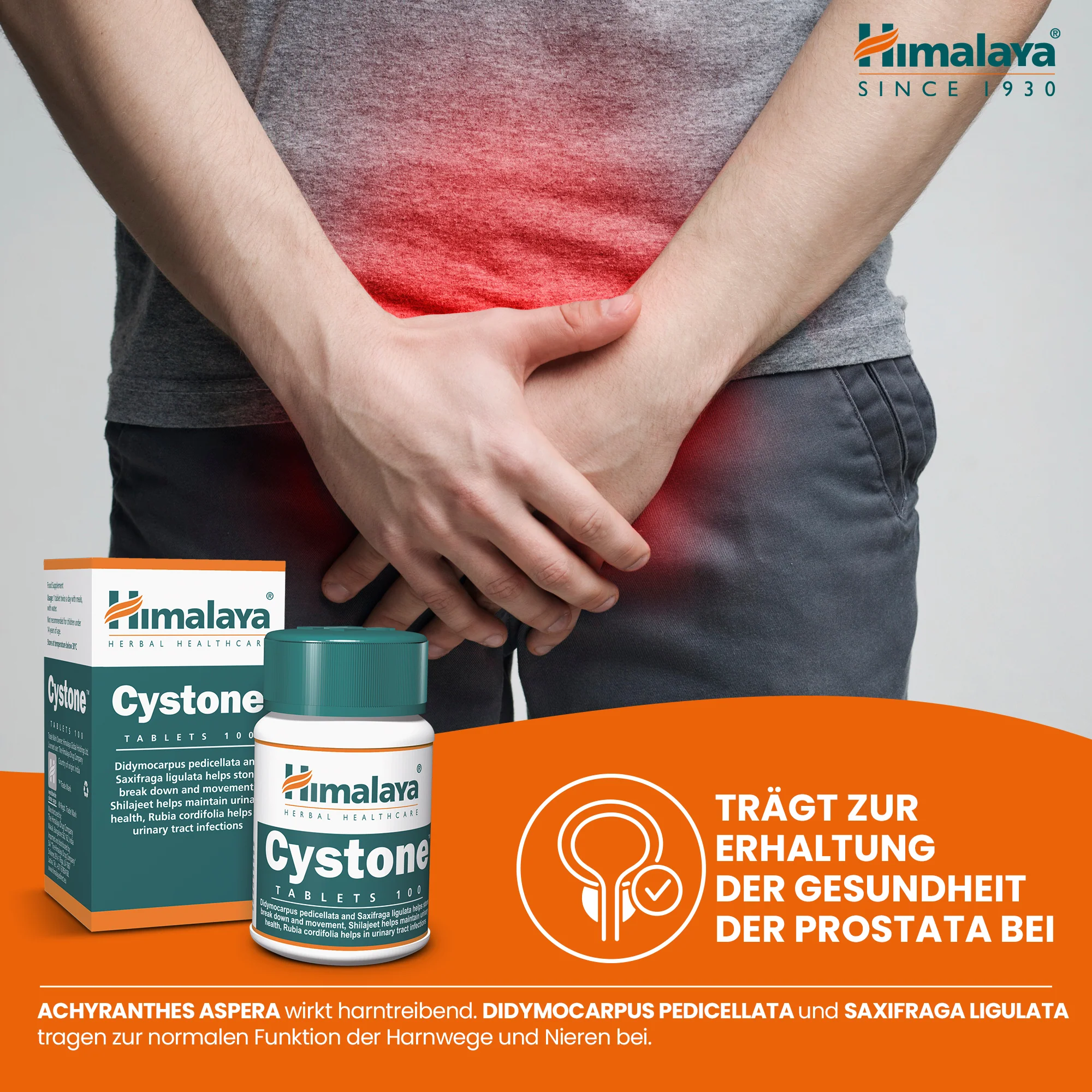 Himalaya Cystone - 100 Tablets (Pack of 3) - Image 4