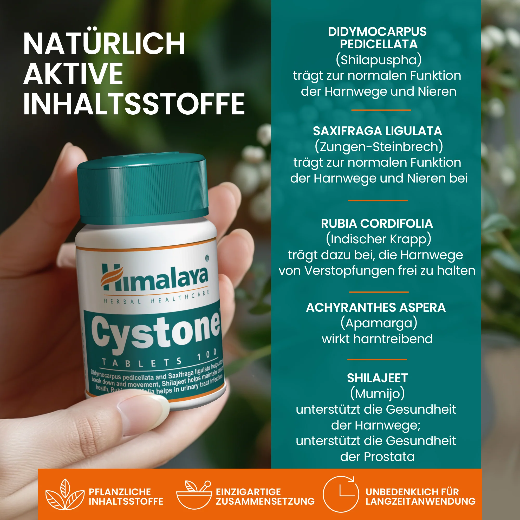 Himalaya Cystone - 100 Tablets (Pack of 3) - Image 5