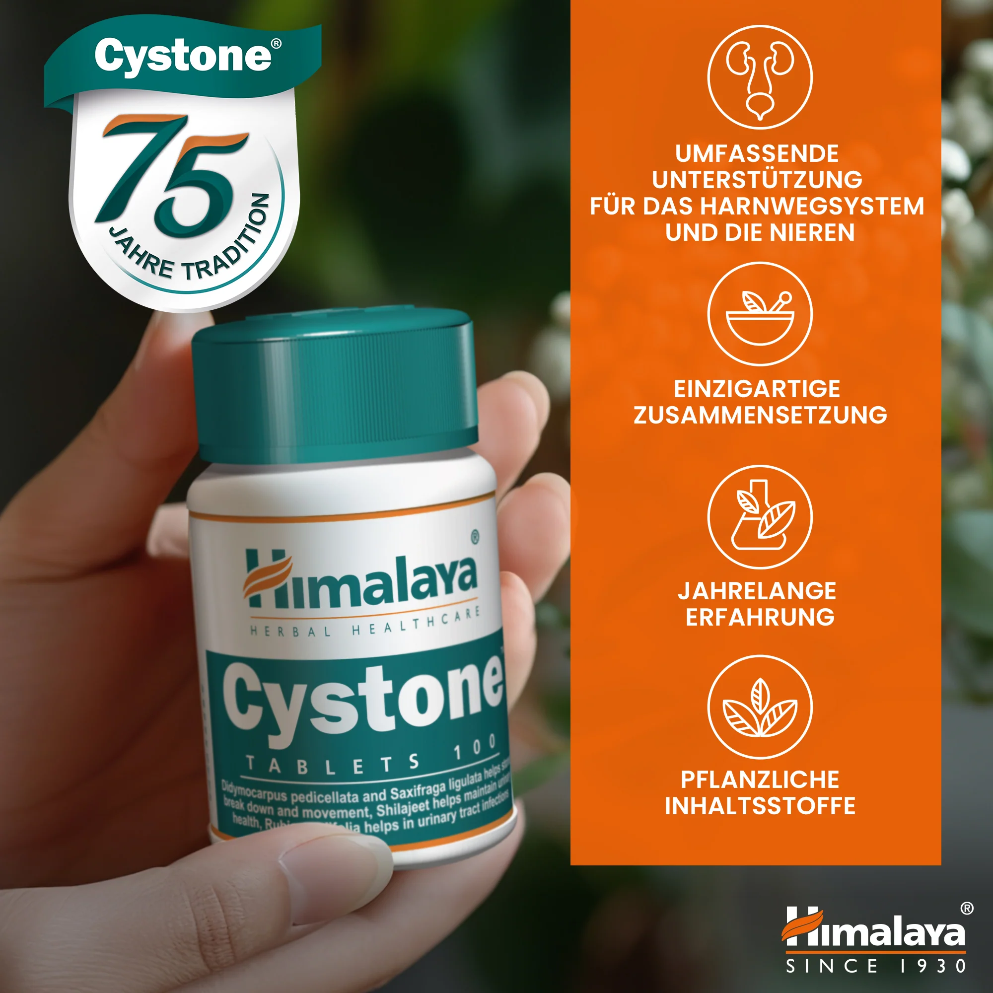 Himalaya Cystone - 100 Tablets (Pack of 3) - Image 6