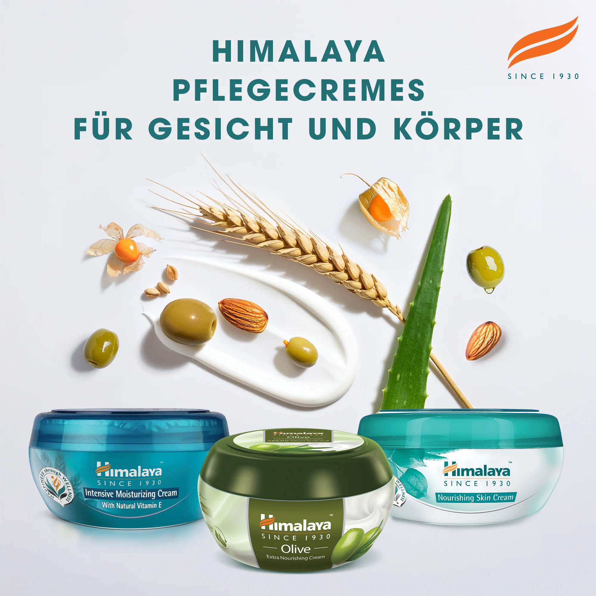 Himalaya Extra nährende Olivencreme - Image 6