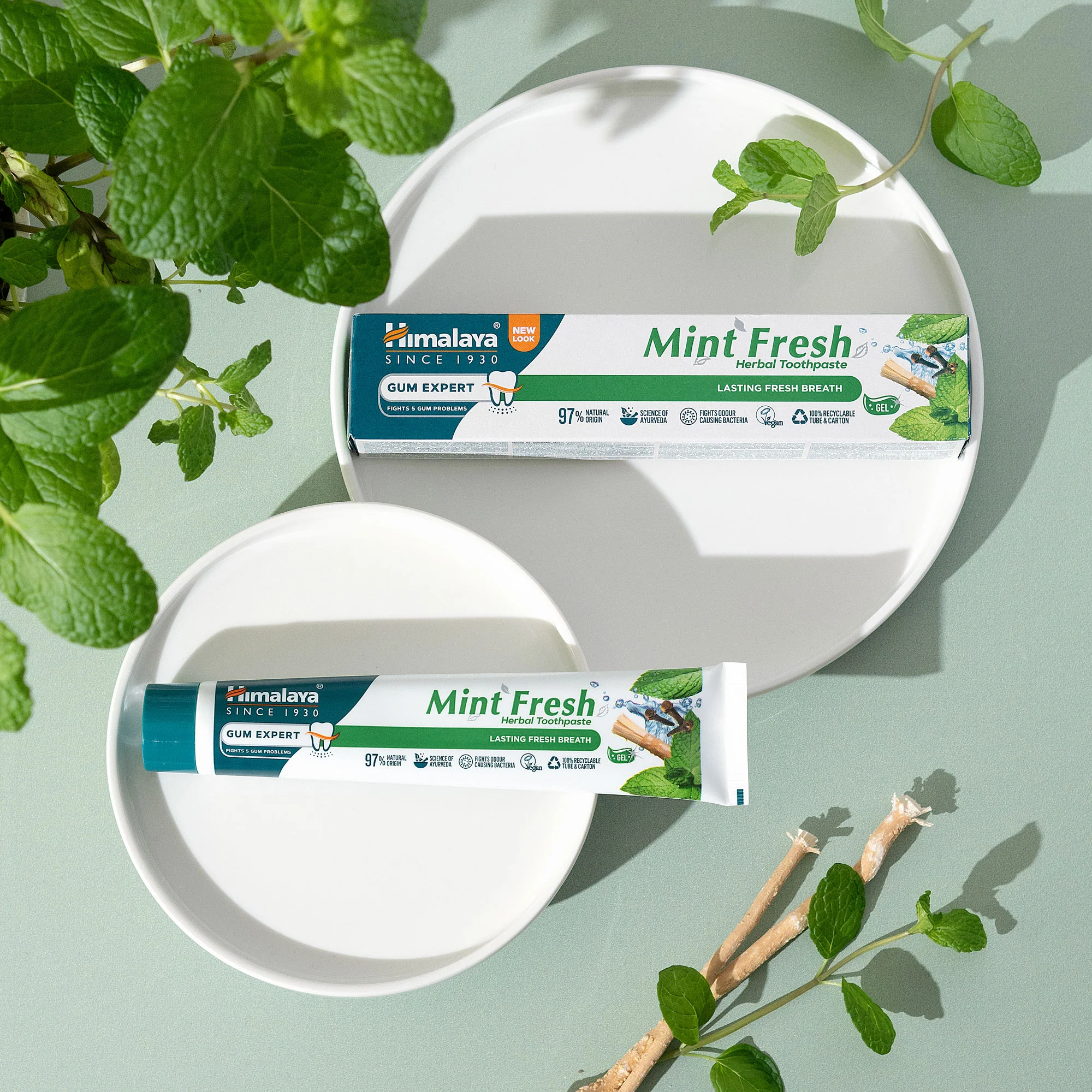 Himalaya Gum Expert – Mint Fresh Zahnpasta - 75 ml - Image 3