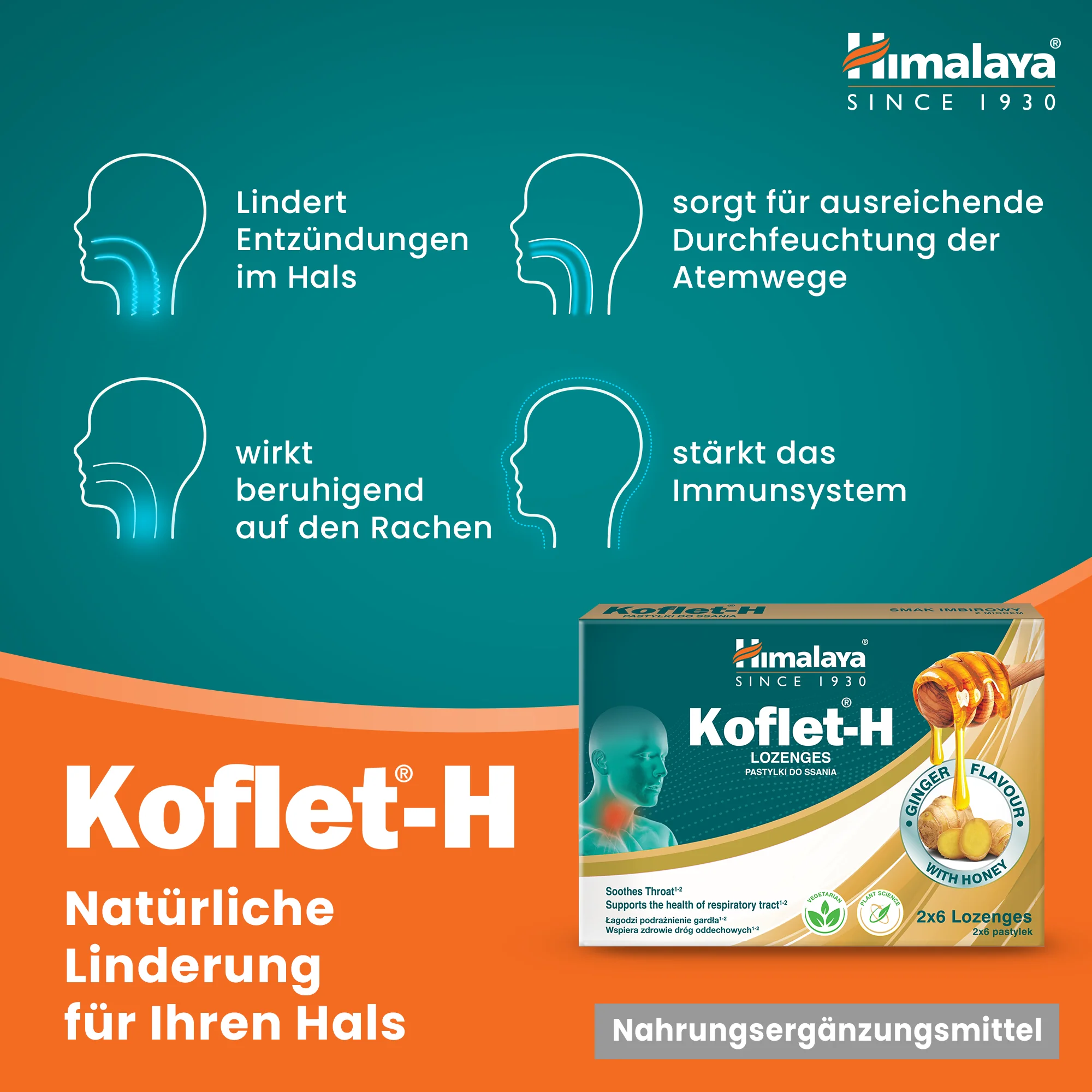 Himalaya Koflet-H Ingwer - Lozenges 2x6s - Image 3