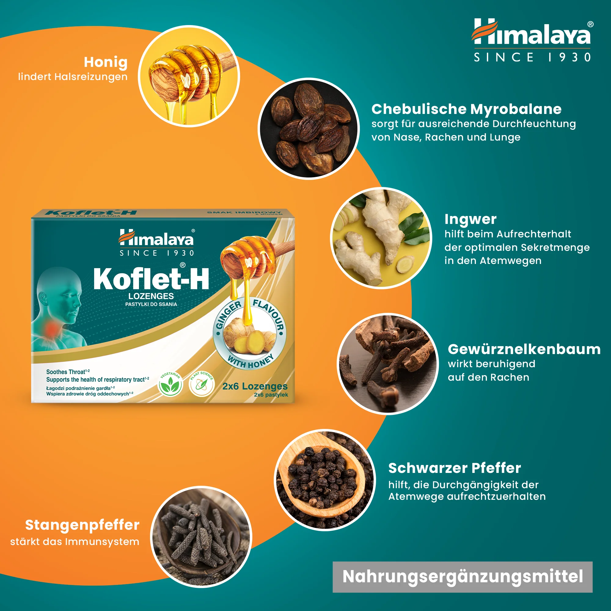 Himalaya Koflet-H Ingwer - Lozenges 2x6s - Image 5