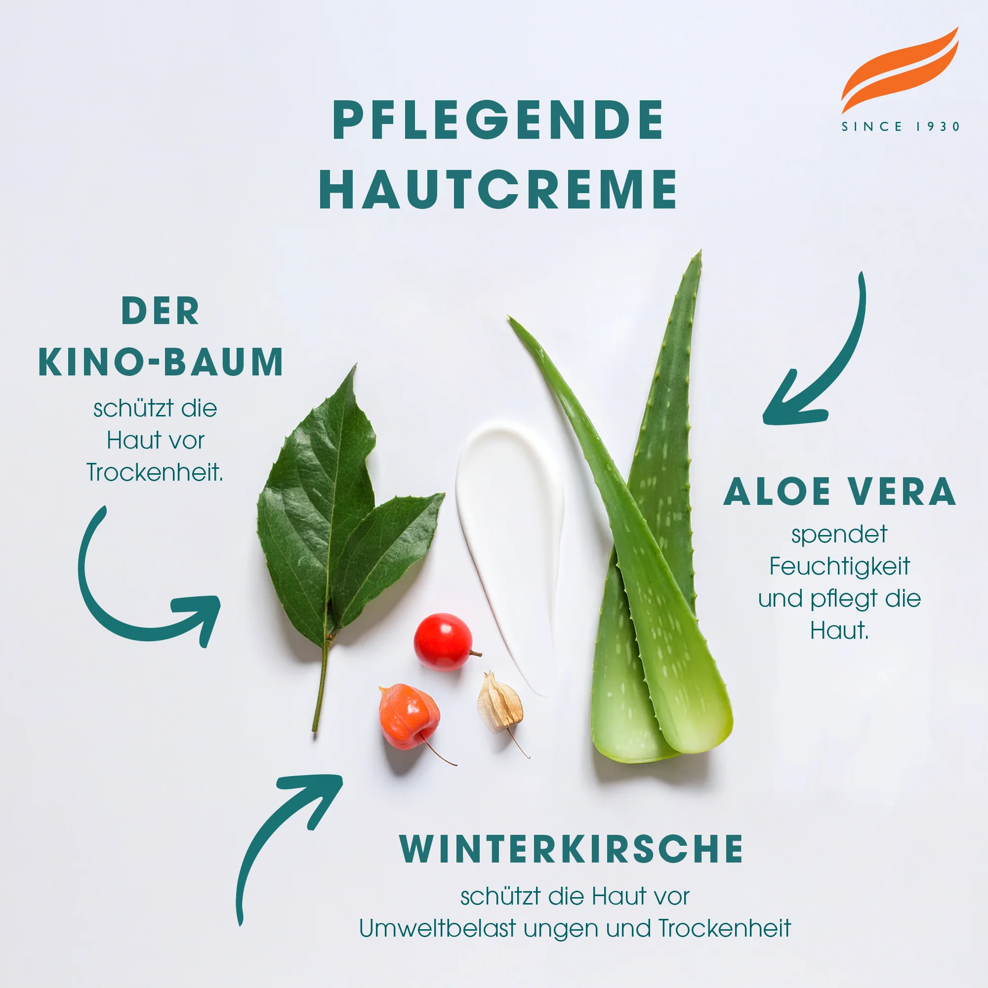 Himalaya Nährende Creme - Image 4