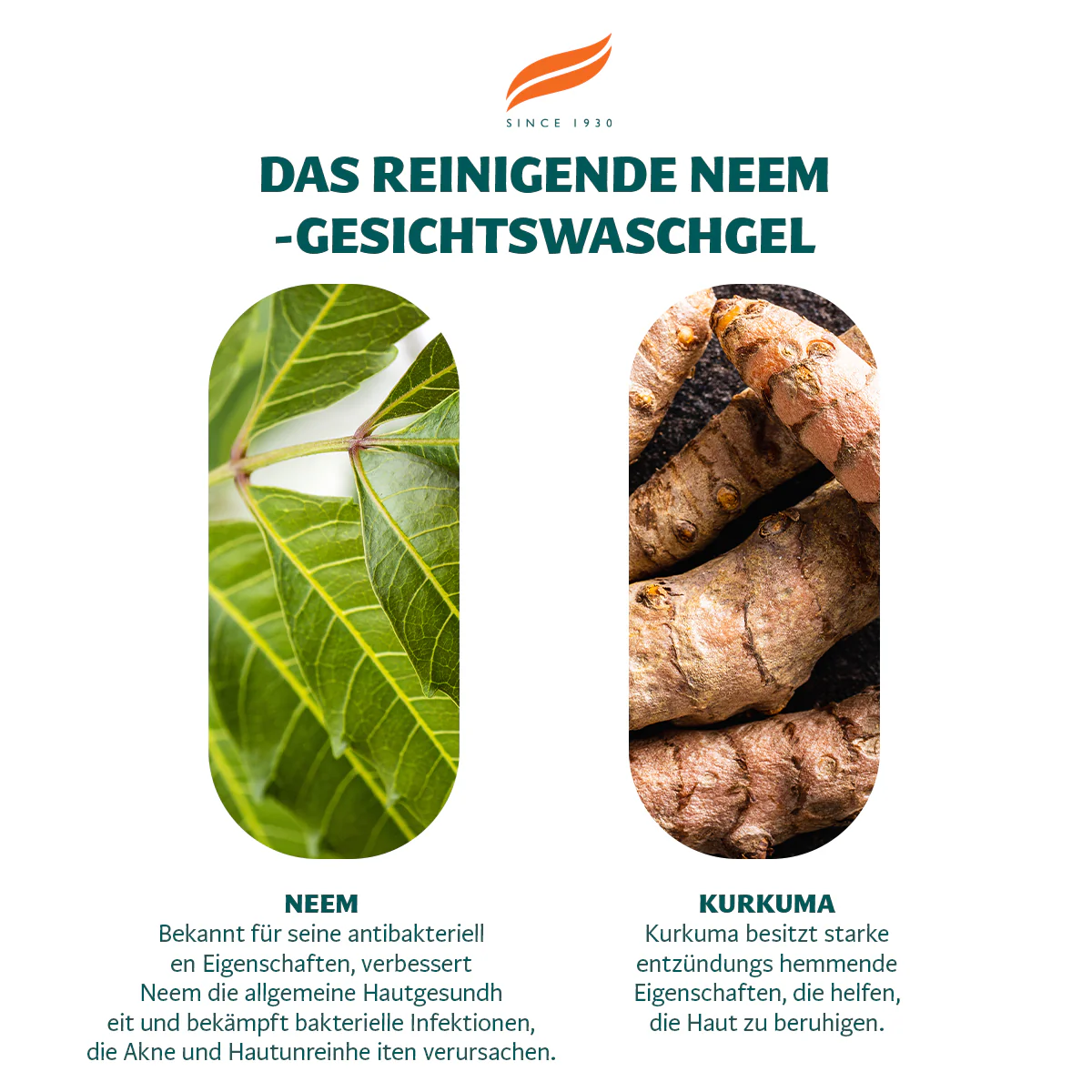 Himalaya Neem-Gesichsreinigungsgel - 150ml - Image 4