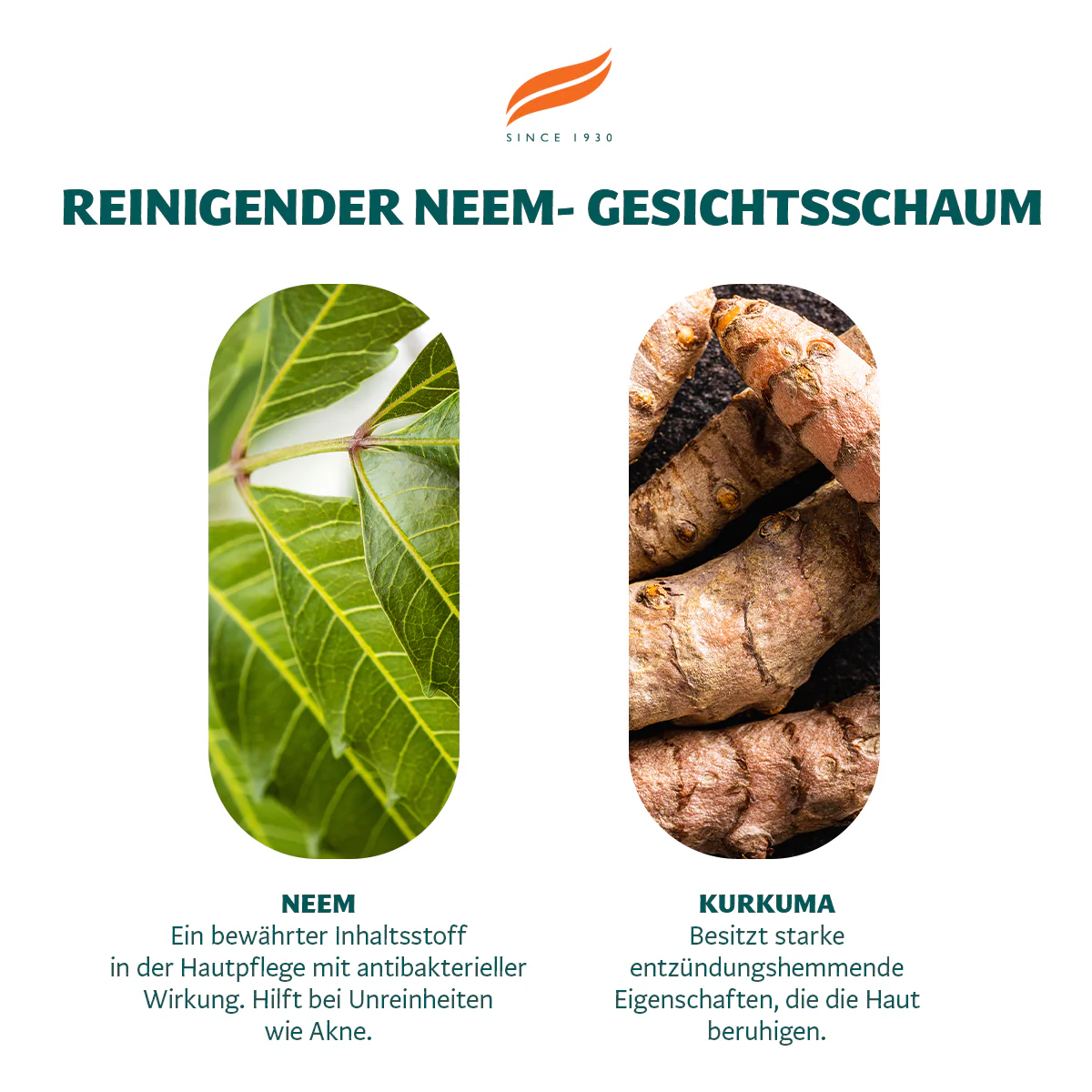 Himalaya Neem Gesichtswaschschaum - 150ml - Image 4