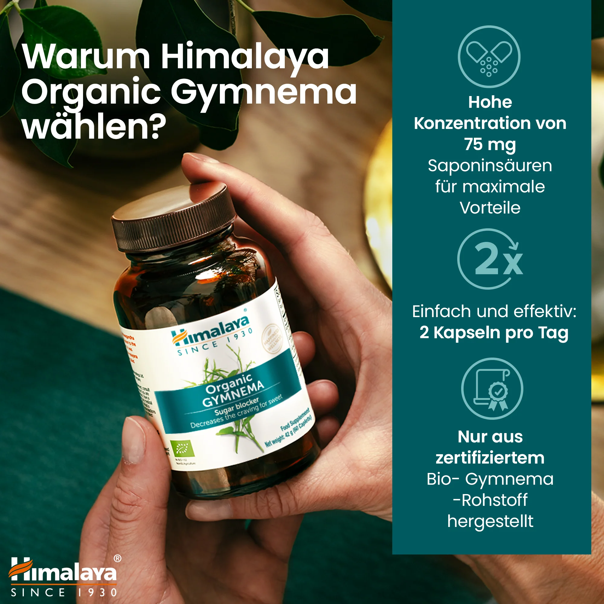 Himalaya Organic Gymnema 60 Tabletten - Image 5