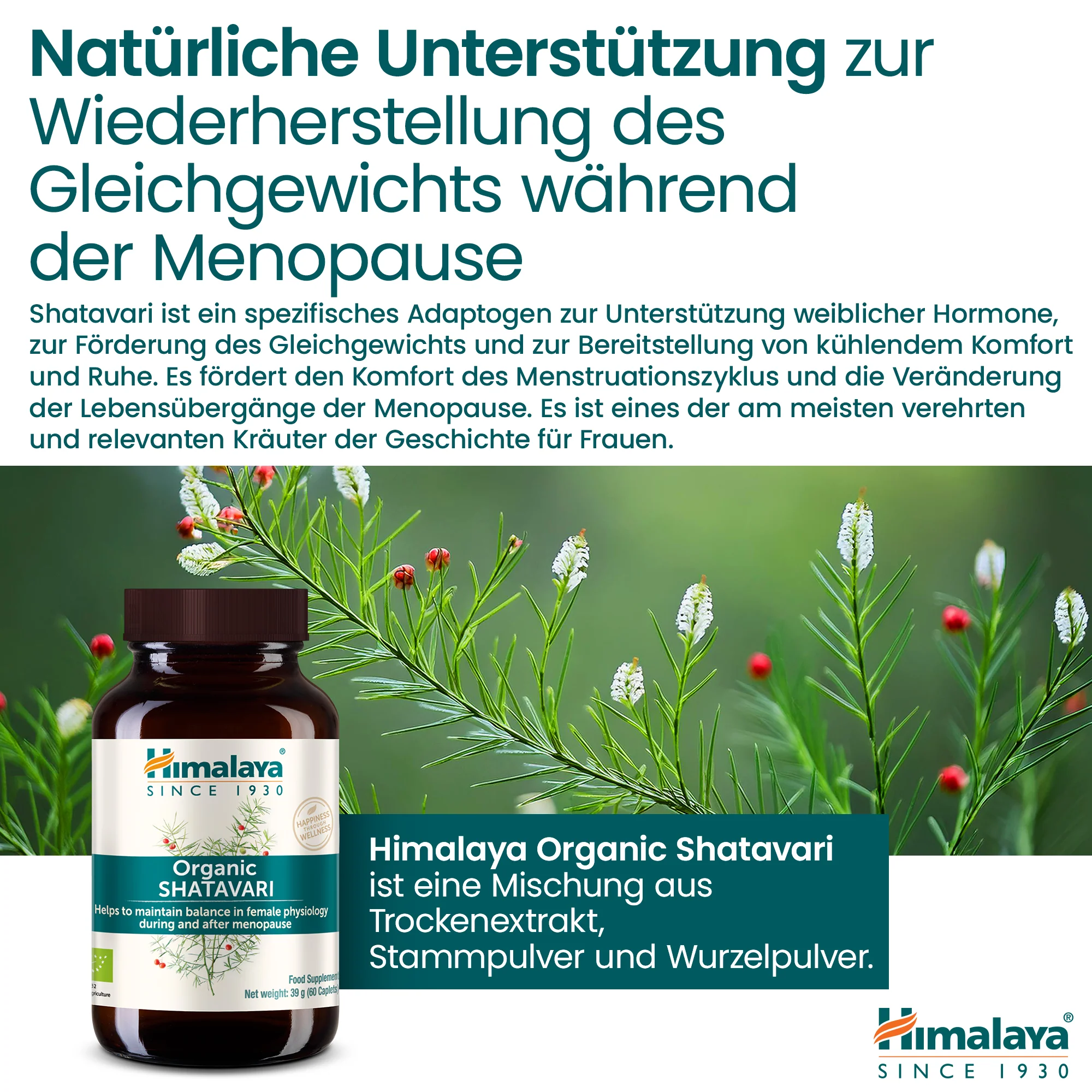 Himalaya Organic Shatavari 60 Tabletten - Image 5