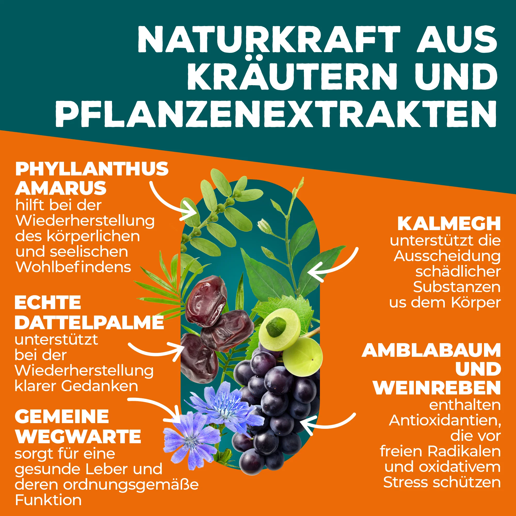 Himalaya PartySmart - Image 5