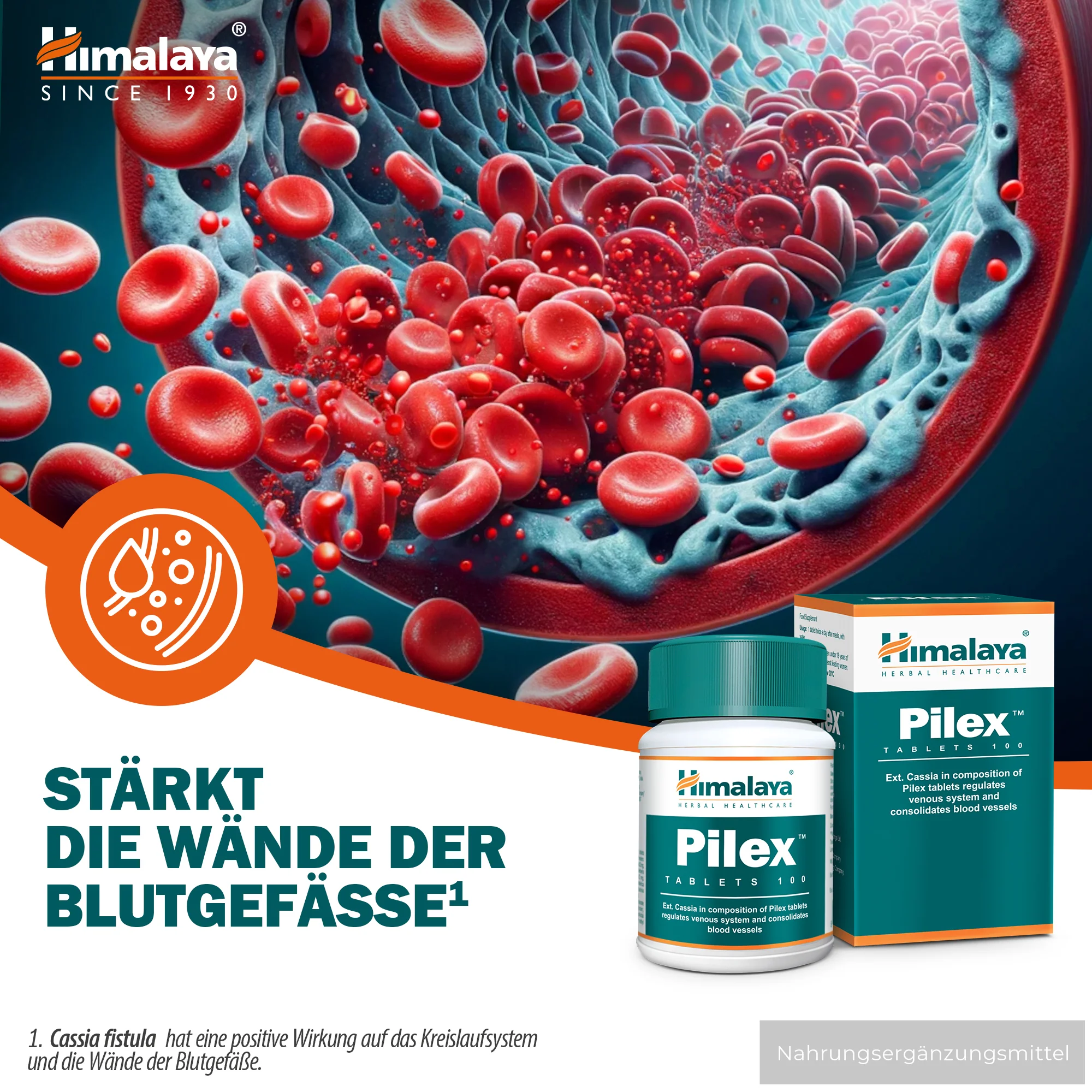 Himalaya Pilex - 100 Tablets - Image 3