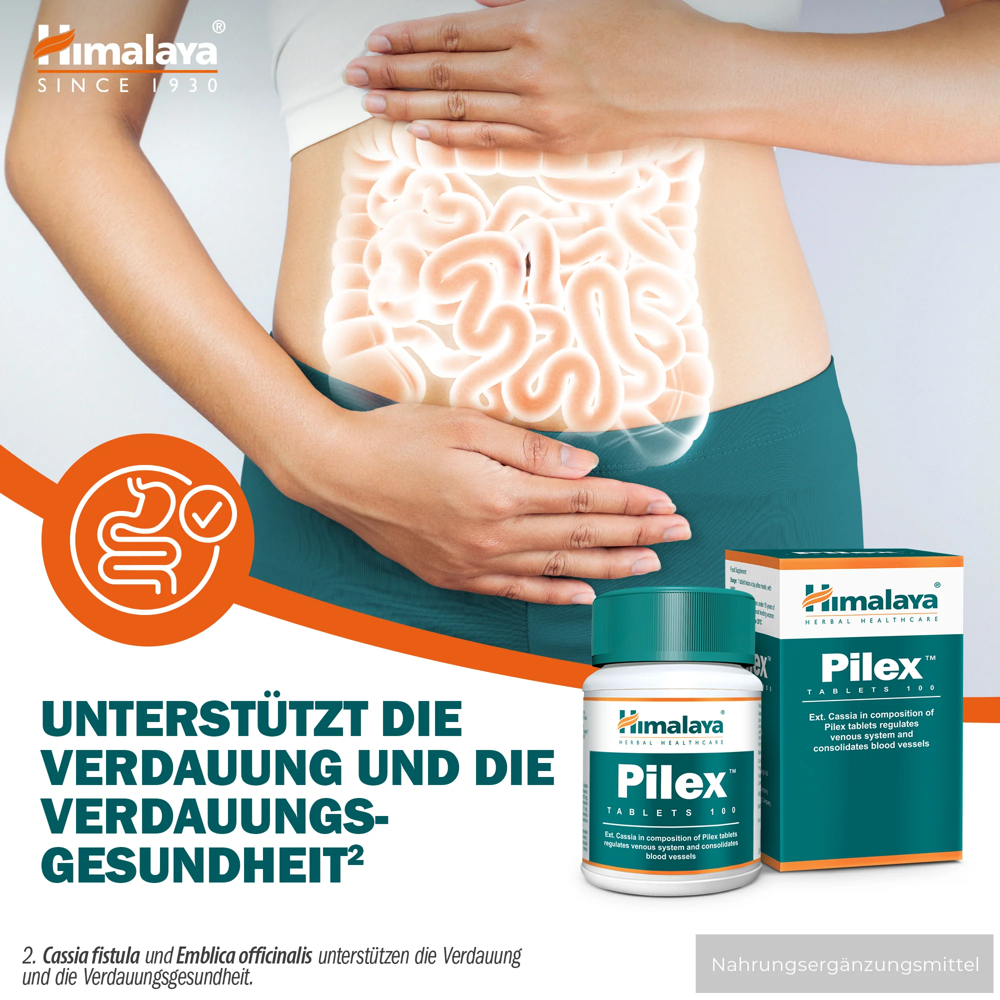 Himalaya Pilex - 100 Tablets - Image 4