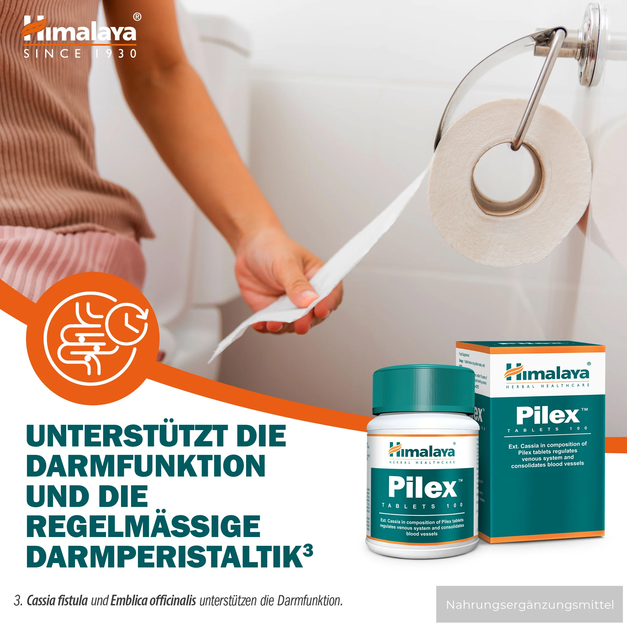 Himalaya Pilex - 100 Tablets - Image 5