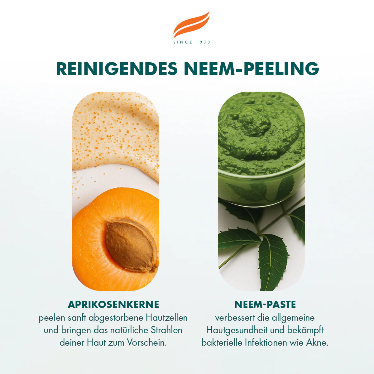 Himalaya Reinigender Neem-Peeling - 75ml - Image 4