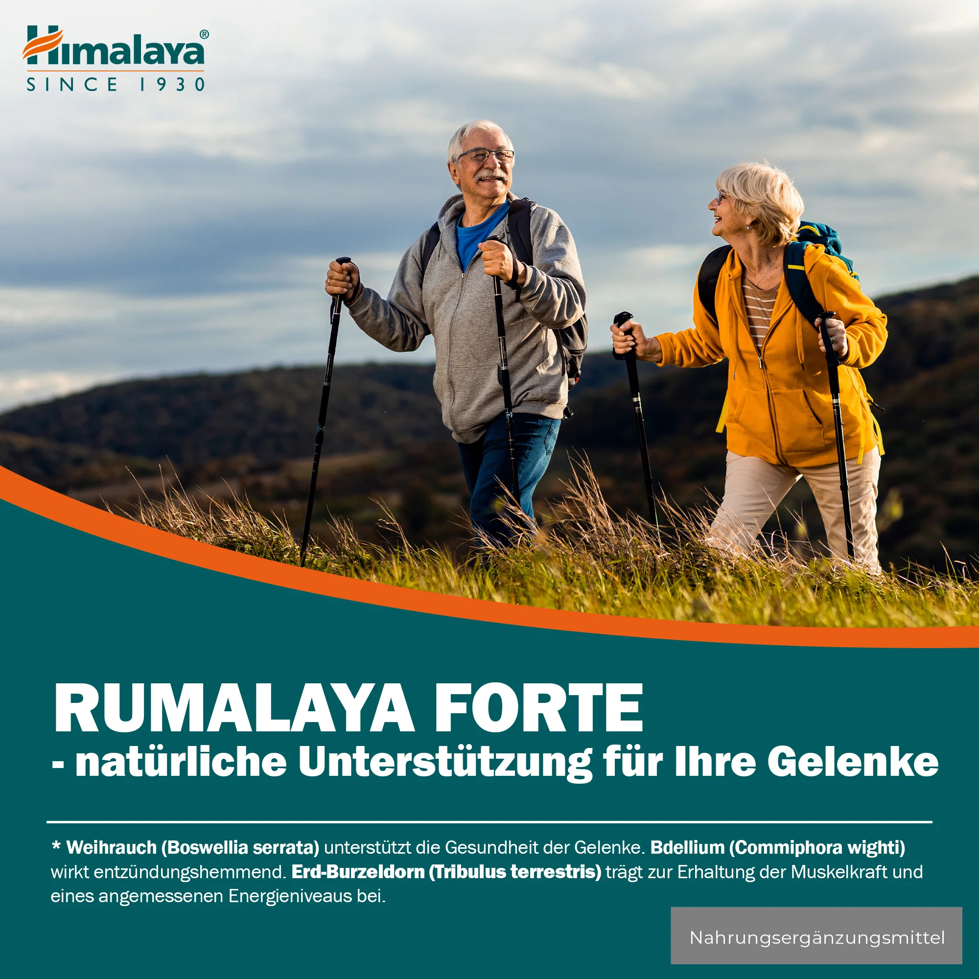 Himalaya Rumalaya forte - 60 Tablets - Image 3
