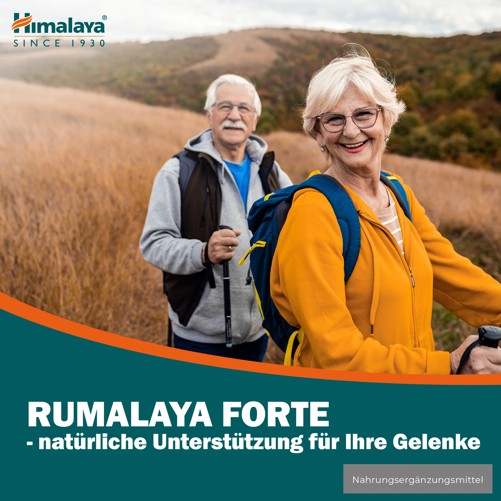 Himalaya Rumalaya forte - 60 Tablets - Image 4