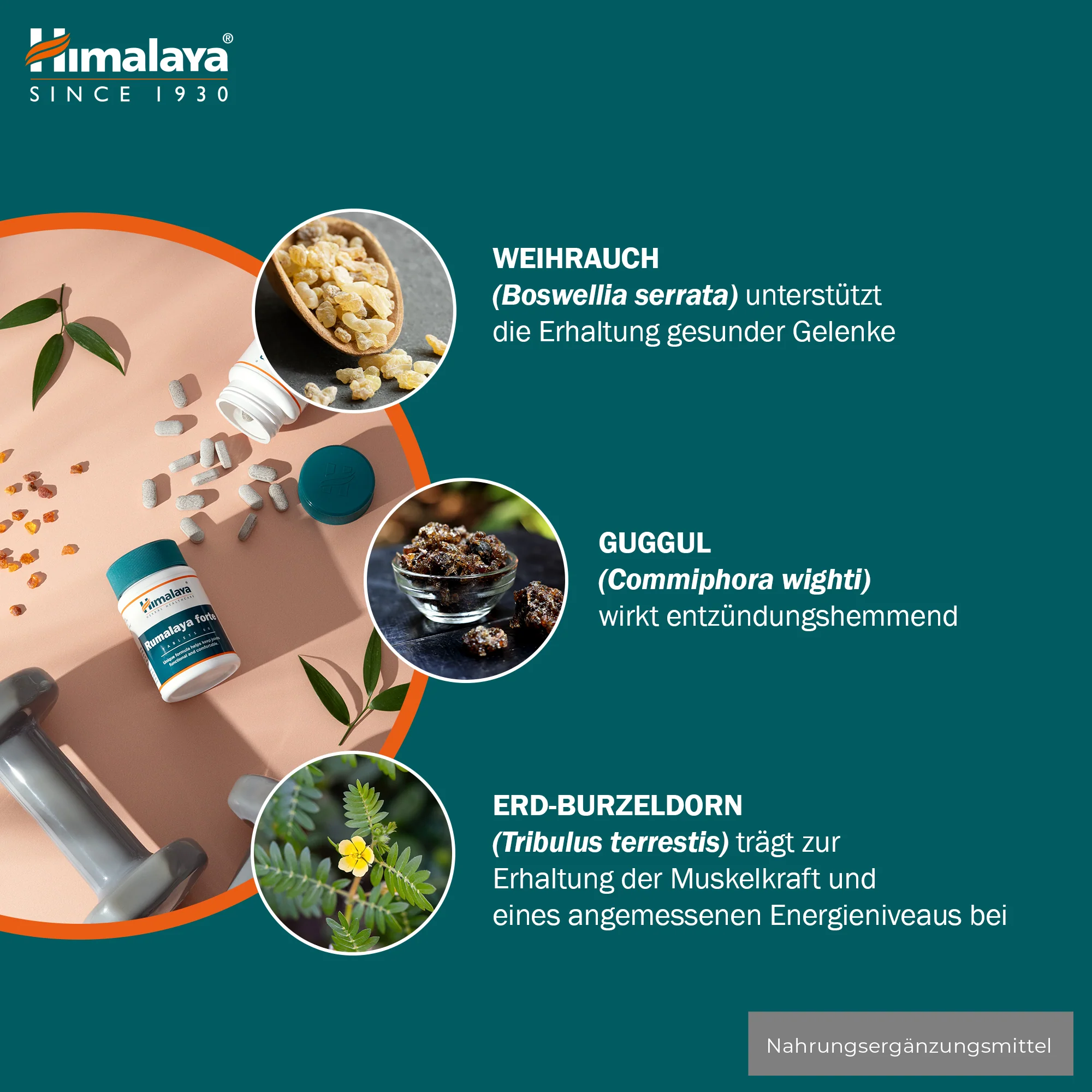 Himalaya Rumalaya forte - 60 Tablets - Image 5