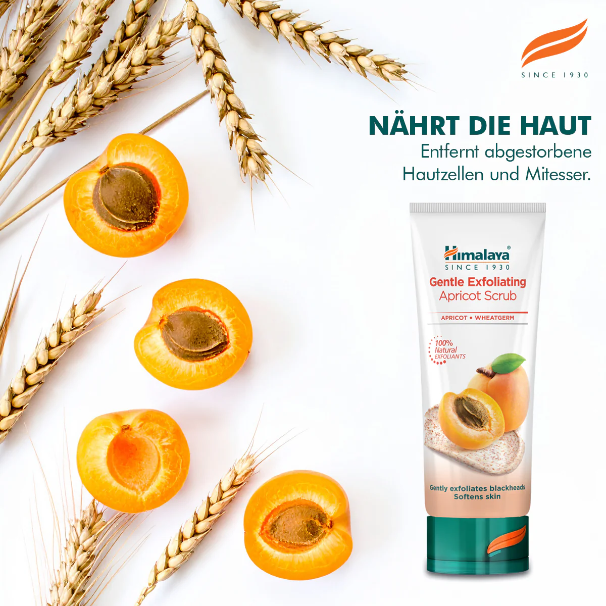 Himalaya Sanftes Aprikosenpeeling - 75ml - Image 3