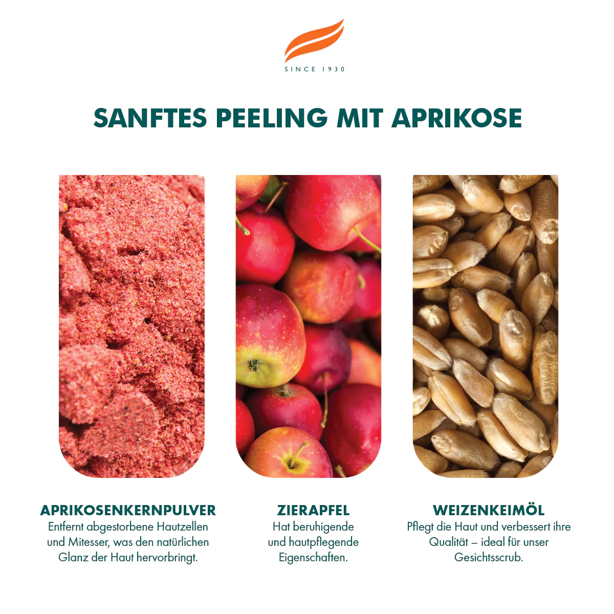 Himalaya Sanftes Aprikosenpeeling - 75ml - Image 4