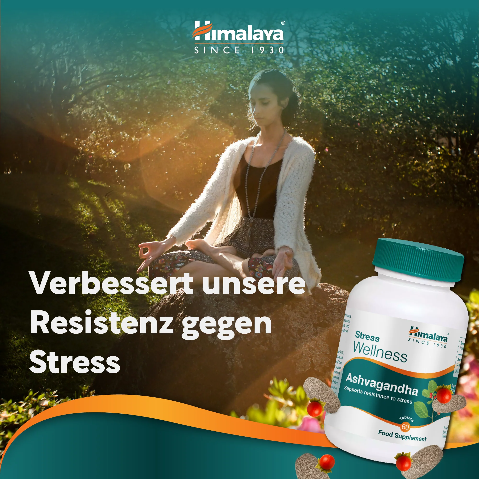 Himalaya Stress Wellness Ashvagandha - 60 Tabletten - Image 3