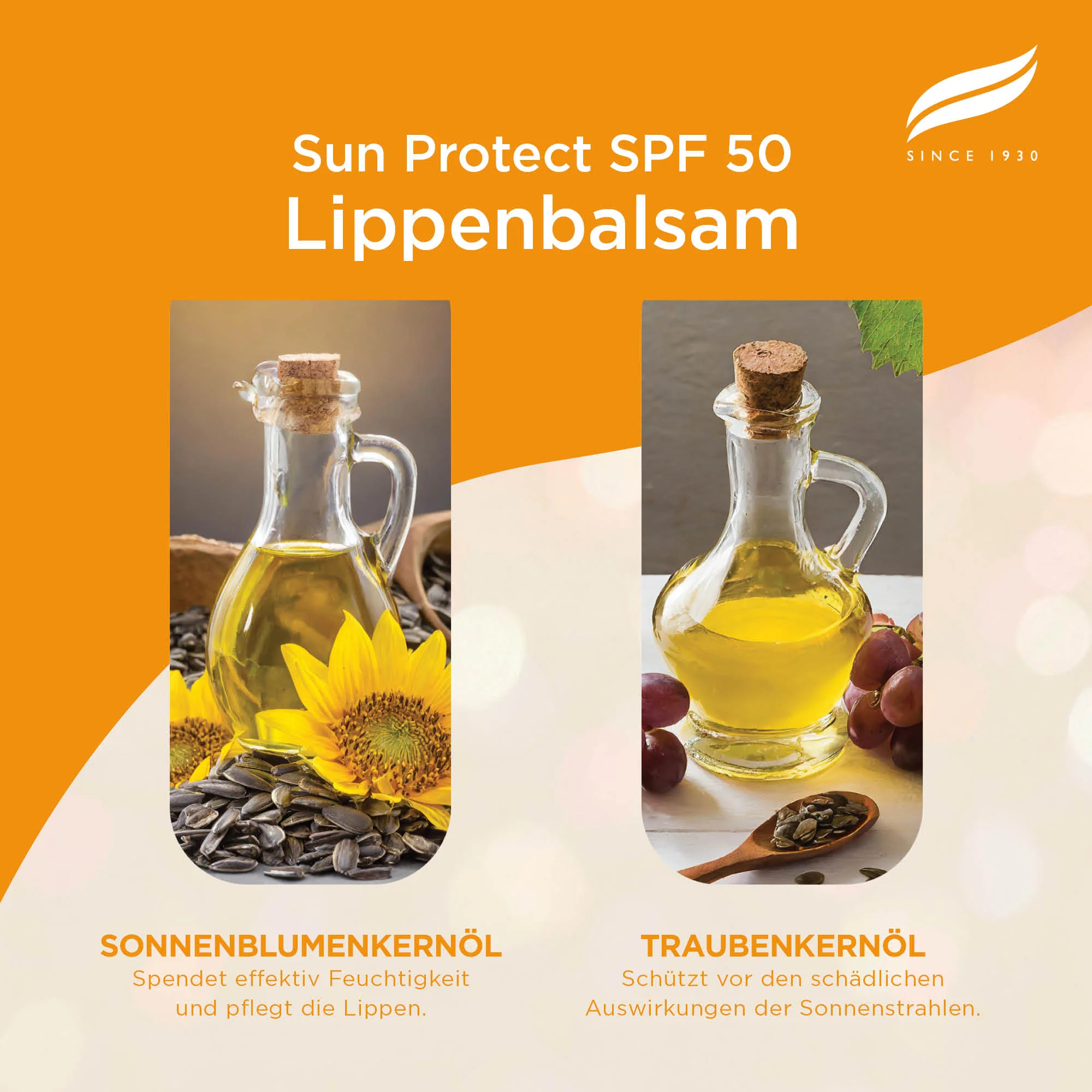 Himalaya Sun Protect Lippenbalsam (SPF 50), 4.5 g - Image 4