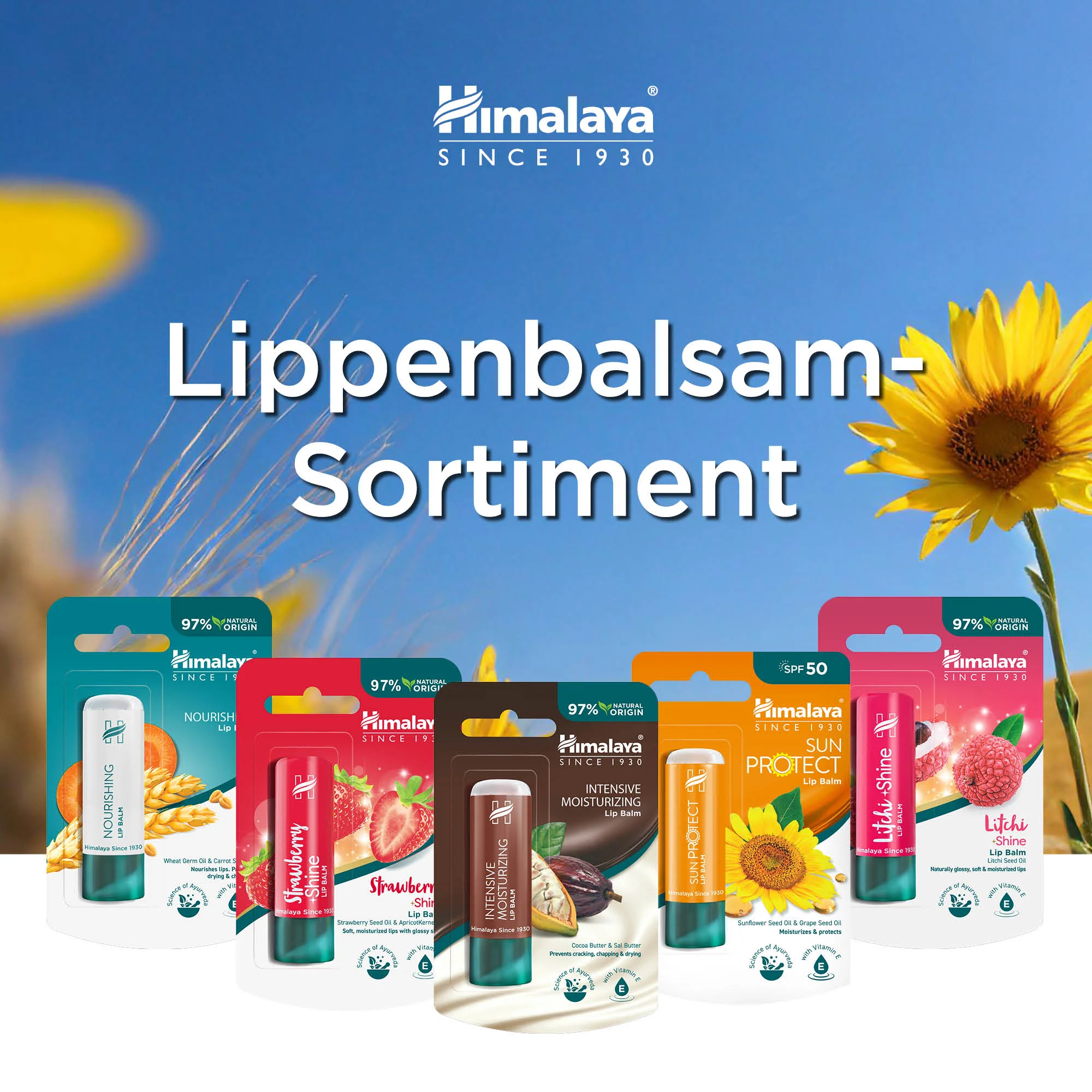 Himalaya Sun Protect Lippenbalsam (SPF 50), 4.5 g - Image 6