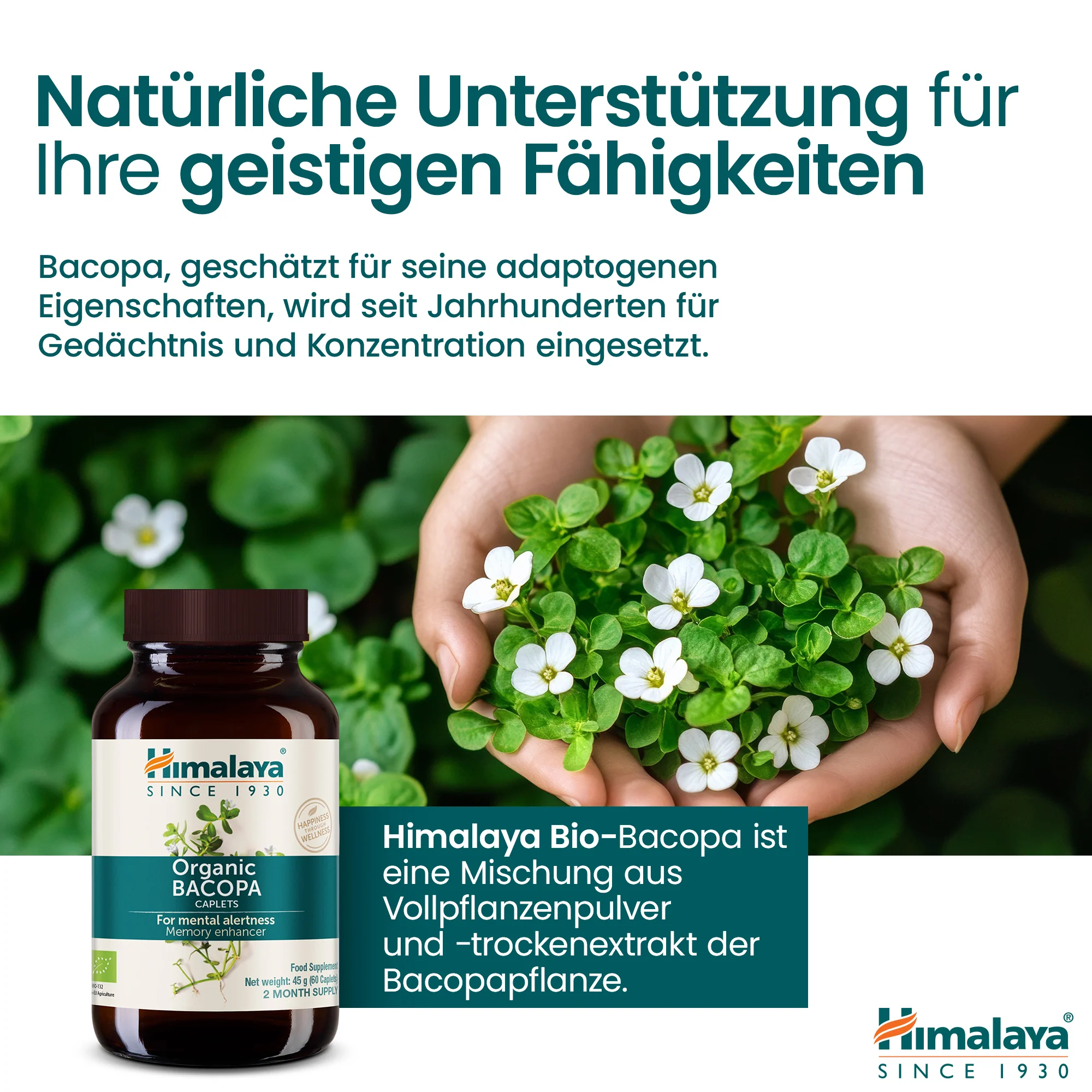 Himalaya Organic Bacopa (Brahmi) - Image 4