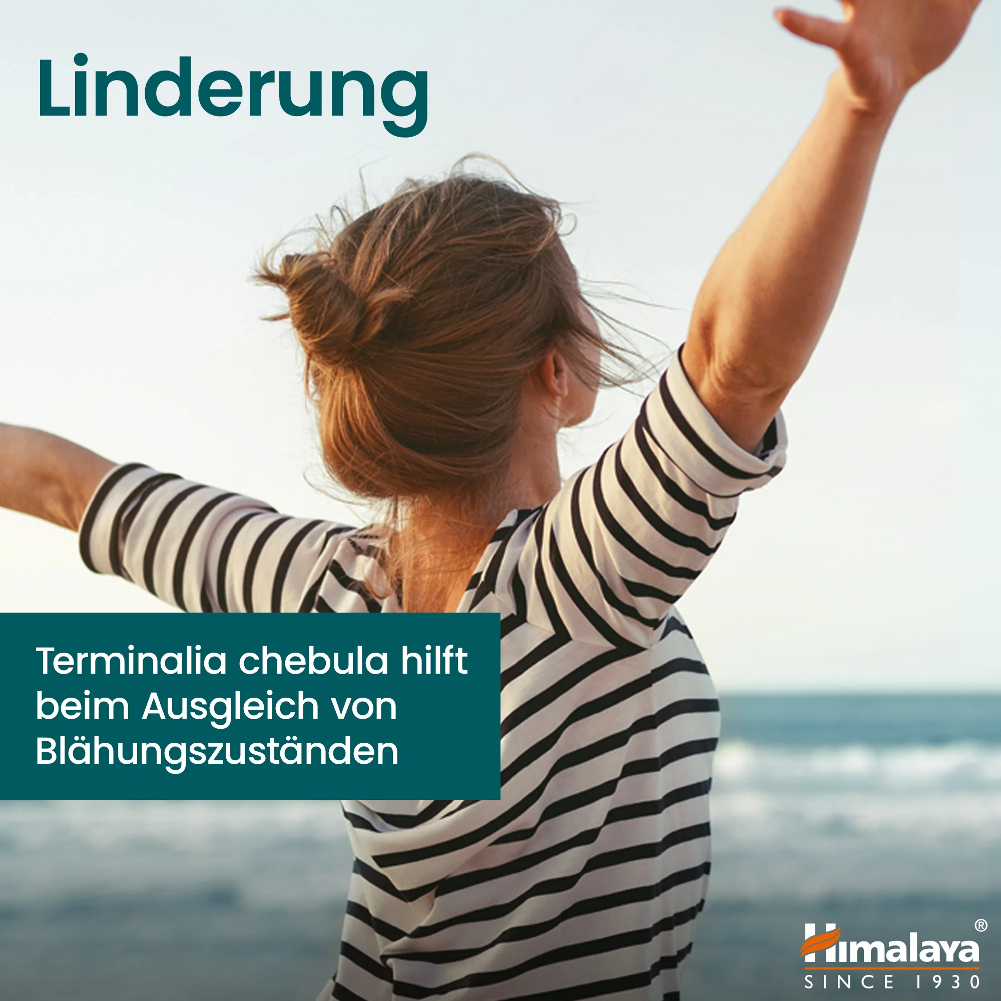 Himalaya Organic Triphala - Image 4